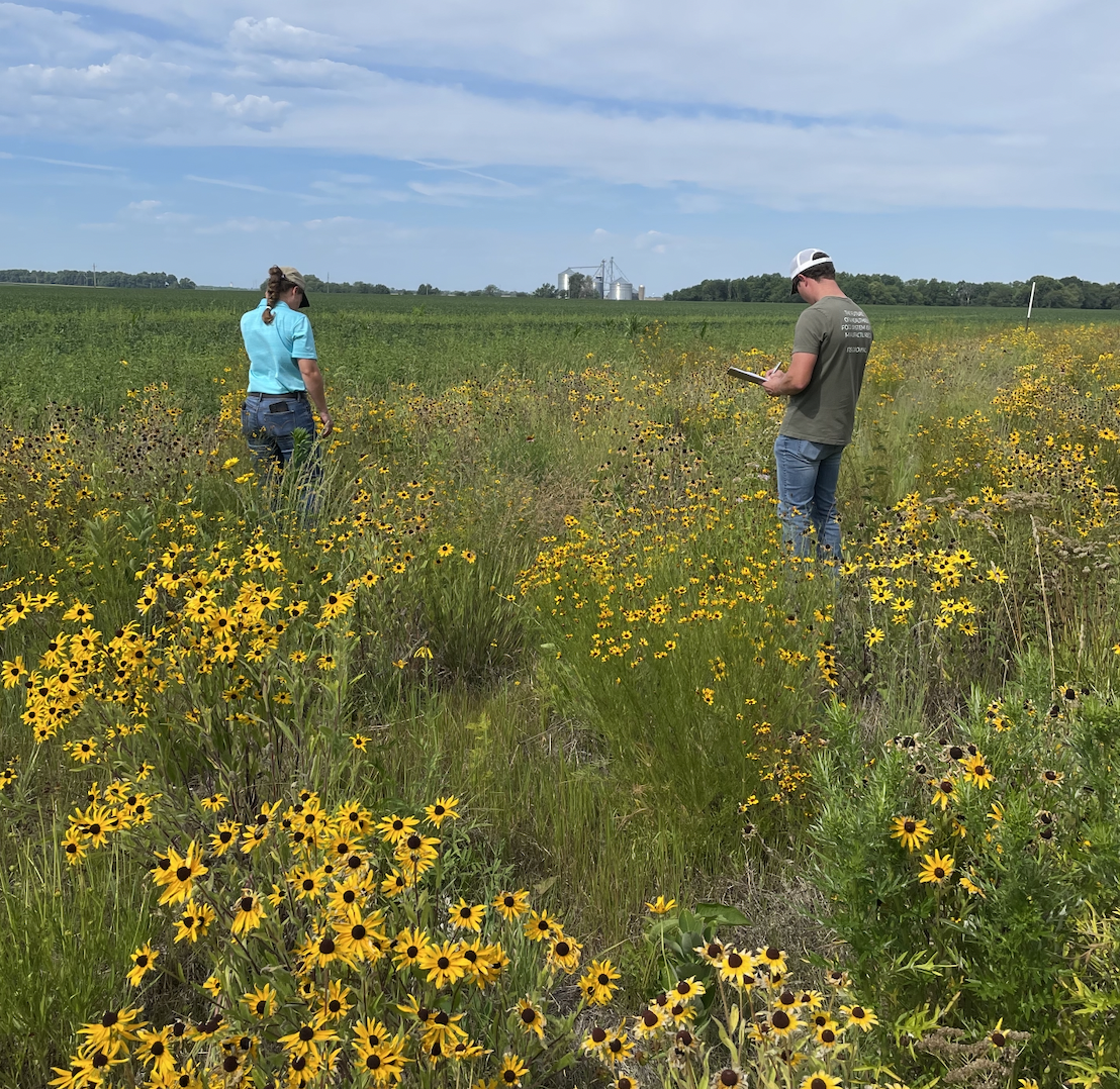Regenerative agriculture systems